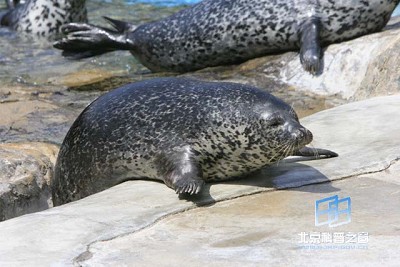 ������ص�