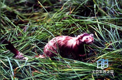 �����ͻ���(ͼ)