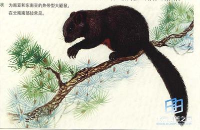 �ұ�������Ͱװ�����