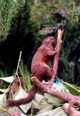 �ู����ͻ�������