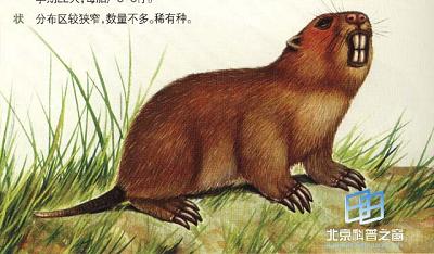 ��������ʹ�����(ͼ)