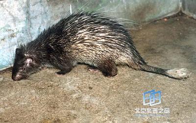 �й�������ɨβ����