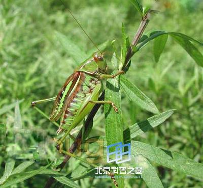 ����ͨѶ�Ľ��淴Ӧ