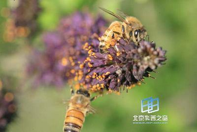 ���ﲻͬ����ͨѶϵͳ�Ĳ���