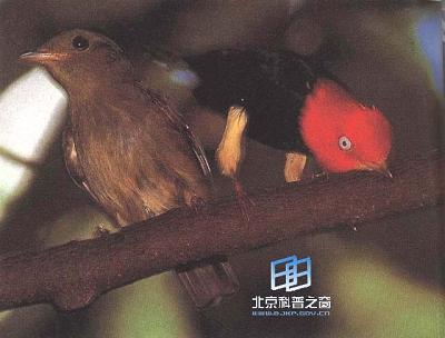 �����ͨѶ�����