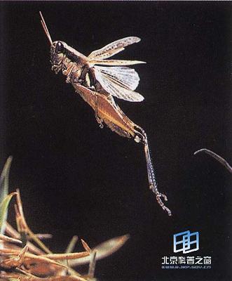 ����ͨѶ�Ľ���