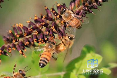 �о�����ͨѶ�����������ͨѶ(ͼ)