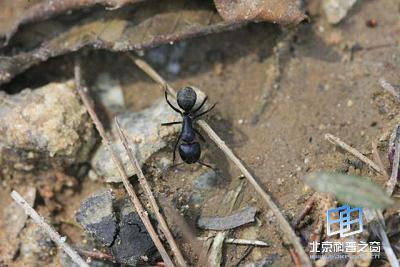 ����ͨѶ�Ķ���