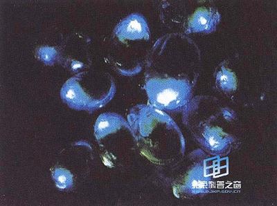 ����Ĺ��ź�