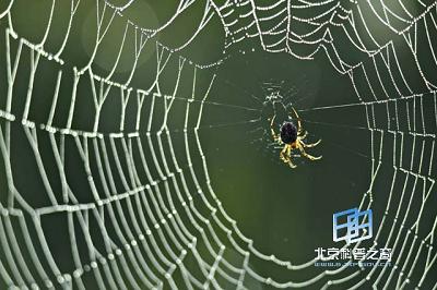 ֩����Ӿ���ҫ