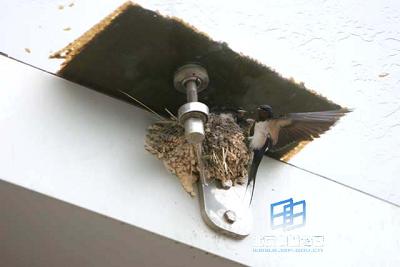 ��׵����ͨѶ��ʽ�ķ�չ