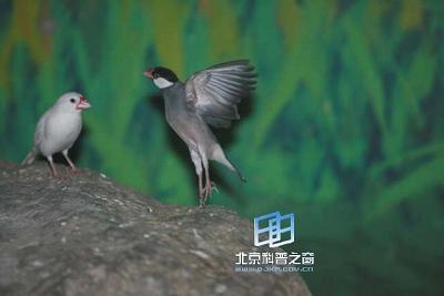 ����ͨѶ�ķ�����ʽ��Ч��