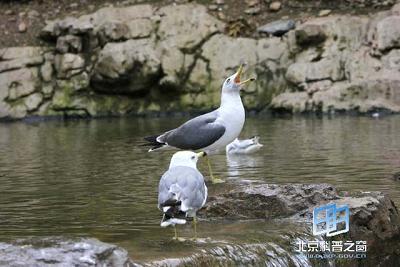 ����ġ����ԡ�