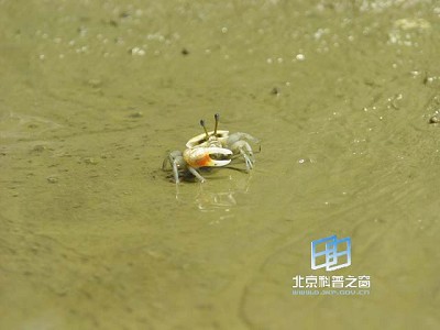 �����ɢ��ϵͳ����ʽ����ս��