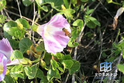 �۷��ҡ����(ͼ)