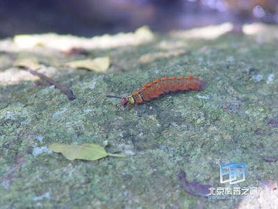 ��ѧͨѶϵͳ(ͼ)