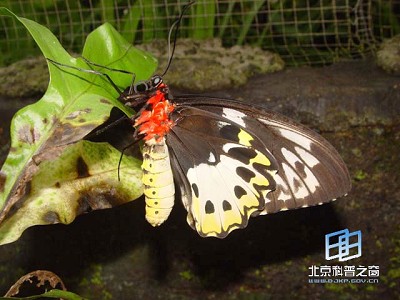 ����ͨѶϵͳ(ͼ)