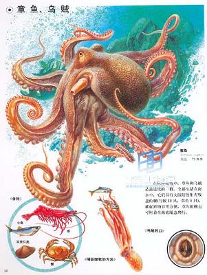 ����ˮ���Ĵ�������