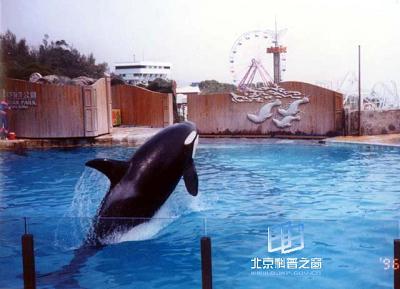 ������������ġ����񡱣�����ġ���Ա��