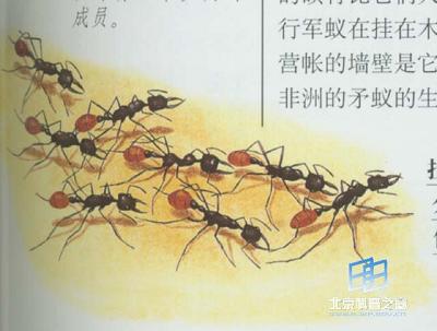 ���ϡ����Ѵ����ŵ�Ҫ��������