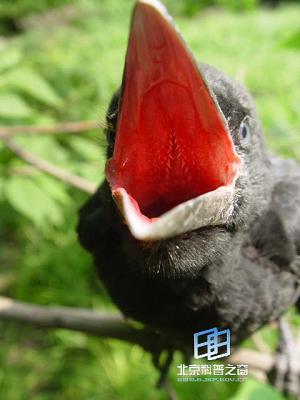 ��������ѻ