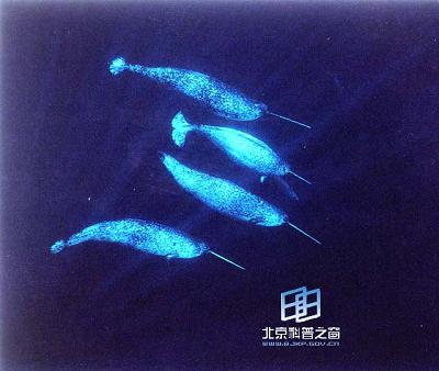 ���ݿ��Ե���ħ�ȡ���һ�Ǿ�