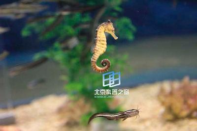 �����ס������Ĺ���