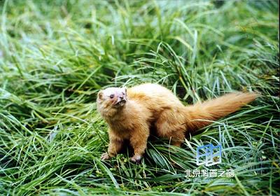 ���´̵Ķ���