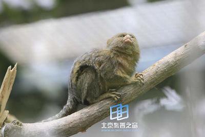 ��ɻ�ĺ���(ͼ)