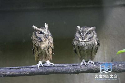 ��ġ������͡��桱