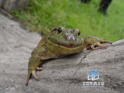 ����ս��һһ��Ȼ������