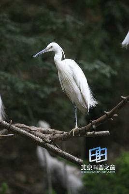 �����ϵġ�������