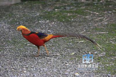 ��ġ����ѻ�����