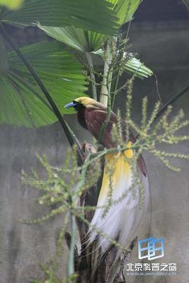 ���˶�ʵ���β