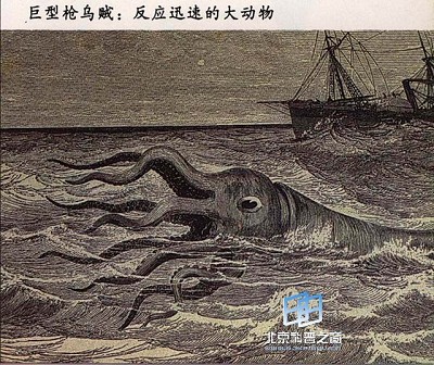 ����ı�ɫ��