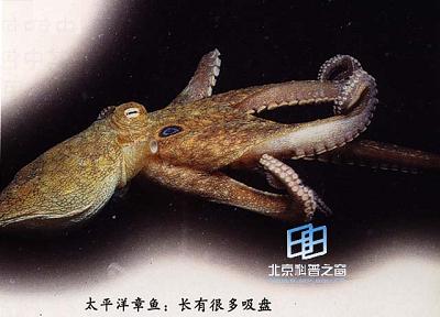 ͷ����ķ������