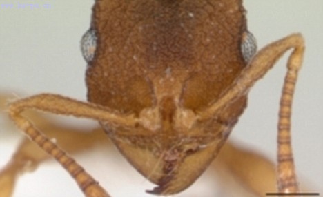 ��ѧ�ҷ������ϡ�Ů������ ��Ⱥ����һ����