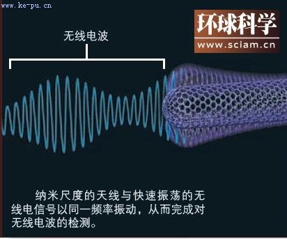 揭秘最小收音机:仅1根纳米管可嵌入细胞(图)