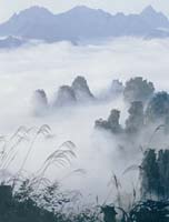 ��������Դ�羰��