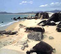 �������ĺ���