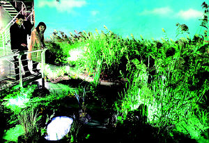 ʪ�ش��ͥ (ͼ)