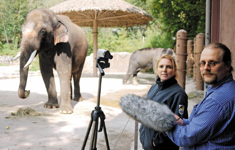 奥地利维也纳大学研究组正在录制大象的声音