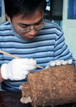 ���Ź����������ճ��������Ʒ���ͭ����