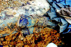 ����Ůʬ������