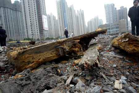 ��Ů����Ĺ