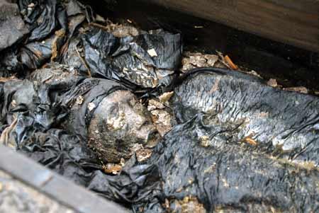 ��Ů����Ĺ