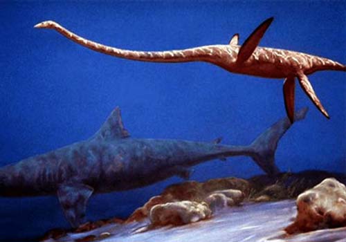 ���а�����