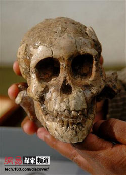 ��ͯ������ʯ