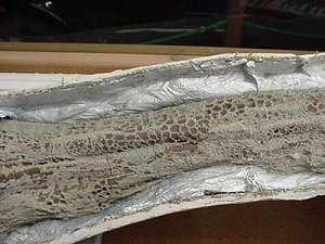 ľ����������