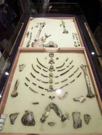 ����,��ʯ